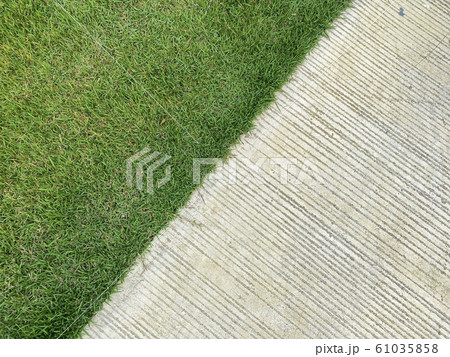 Concrete walkway with green grass 61035858