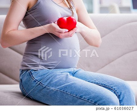 Pregnant woman with a belly tummy sitting on a sofa at home Pregnant woman with a belly tummy sitting on a sofa at home 61036027