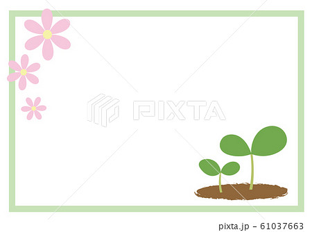 双葉のフレームのイラスト素材