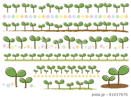 双葉の罫線セットのイラスト素材