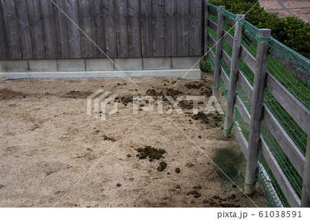 ポニーの小屋の柵と糞 61038591