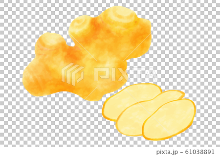  ginger 61038891