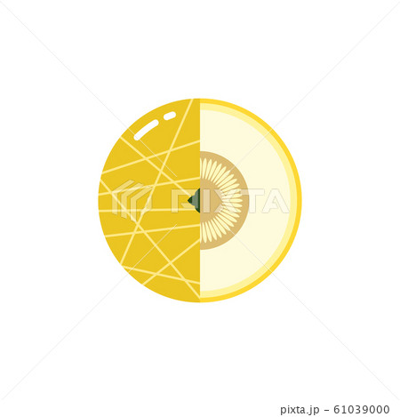 melon fruit sphere with half slice logo, flat...のイラスト素材 [61039000] - PIXTA
