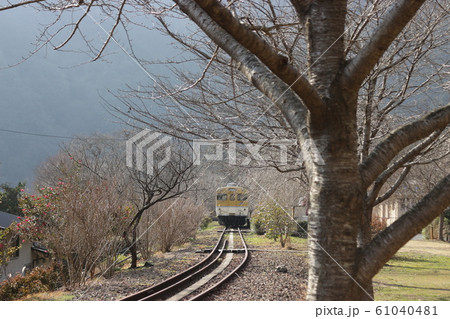 安野ー花の駅公園 61040481