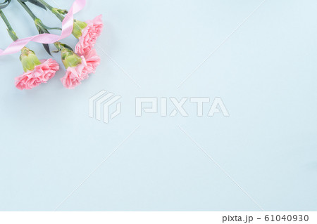 カーネーション ハマナデシコ 花 61040930