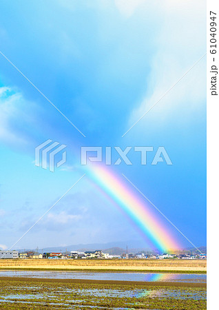 雨上がりの虹／田　1月撮影　石川県能美市 61040947