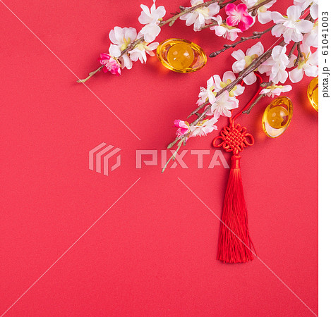 春節 中国正月 中国新年 61041003