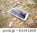 スマホに映る桜 61041809