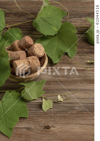 background with grape leaves and wine bottle corks 61044516
