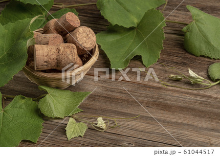 background with grape leaves and wine bottle corks background with grape leaves and wine bottle corks 61044517
