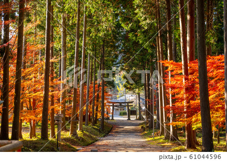 秋の信楽高原鉄道 秋の信楽高原鉄道 61044596