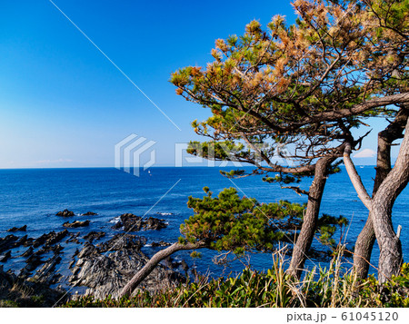 湘南(冬) 湘南(冬) 61045120