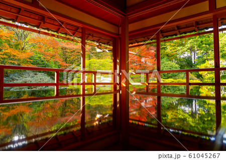 秋の旧竹林院 61045267