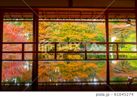 秋の旧竹林院 秋の旧竹林院 61045274