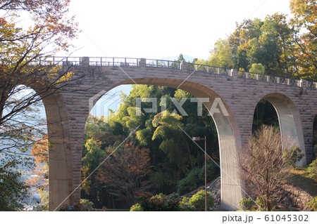 七沢森林公園 森のかけはし 紅葉 七沢森林公園 森のかけはし 紅葉 61045302