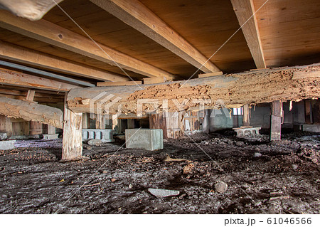 古い家の床下　シロアリ被害の床下　 61046566