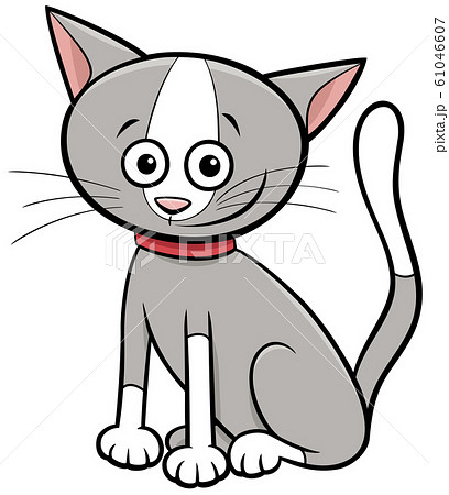 funny cat or kitten cartoon animal character 61046607