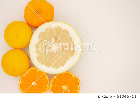 柑橘類　ミカン 61046711