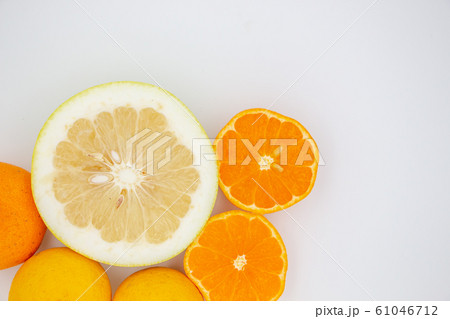 柑橘類　ミカン 61046712