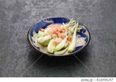 島らっきょの塩漬け 61049147