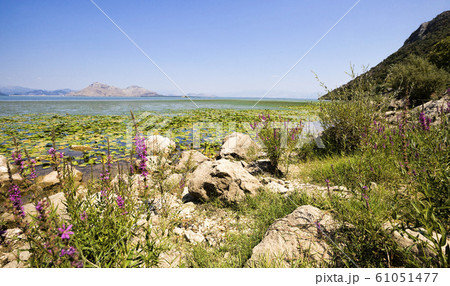 a large lake a large lake 61051477