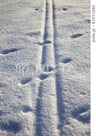 narrow village road with traces of transport narrow village road with traces of transport 61051882