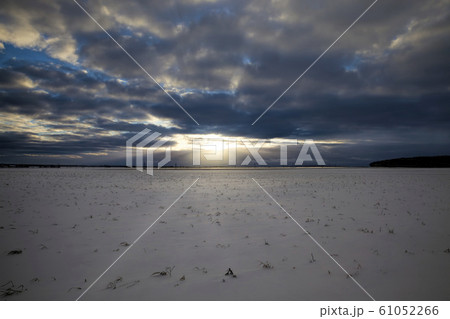 agricultural field 61052266