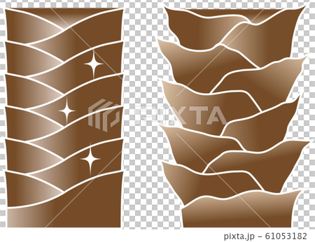 健康的頭髮受損的頭髮角質層 61053182