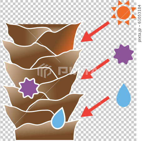 受損的表皮 61053184