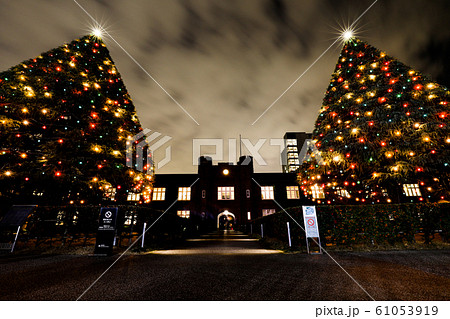 立教大学 池袋 クリスマスツリー St Paul ｓ Universityの写真素材