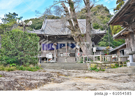 【盛寿山 延命院 常楽寺】 (四国霊場第14番札所) 徳島県徳島市国府町延命 61054585