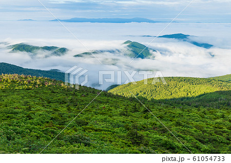 宮城_蔵王山頂の大雲海 61054733