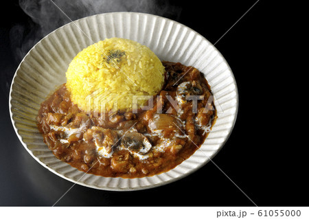 ビーフストロガノフ　ハヤシライス 61055000