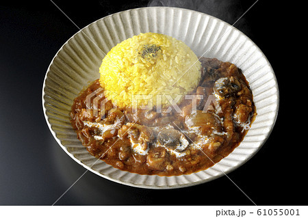 ビーフストロガノフ　ハヤシライス 61055001