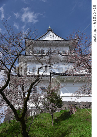 小田原城の桜風景 小田原城の桜風景 61055719