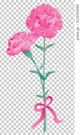 母の日のピンクのカーネーションのギフト 61056088