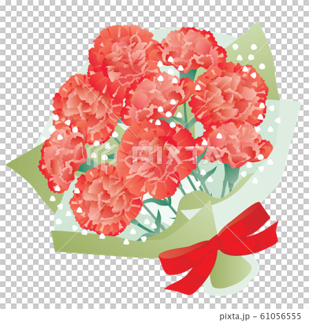 一束紅色康乃馨在母親節 一束紅色康乃馨在母親節 61056555