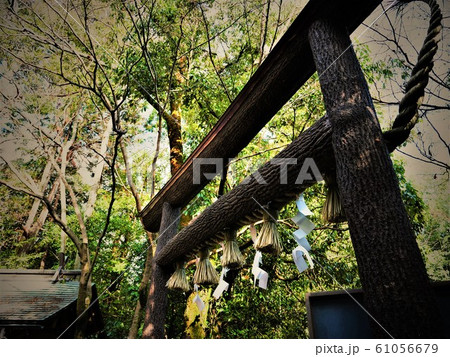 【京都嵐山】野宮神社 【京都嵐山】野宮神社 61056679