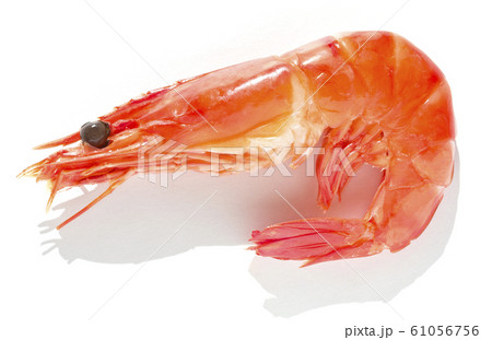 浜汐海老 ゆで海老 おせち 浜汐海老 ゆで海老 おせち 61056756