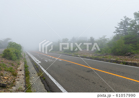 濃霧の道路風景 濃霧の道路風景 61057990