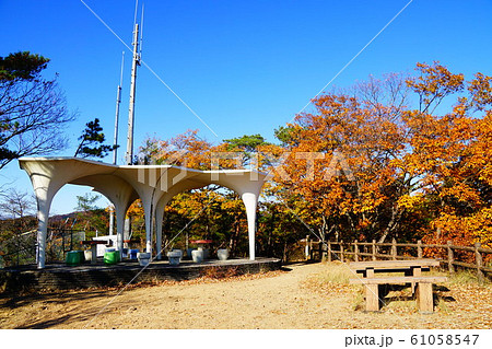 足利　織姫公園　ピクニック広場 61058547