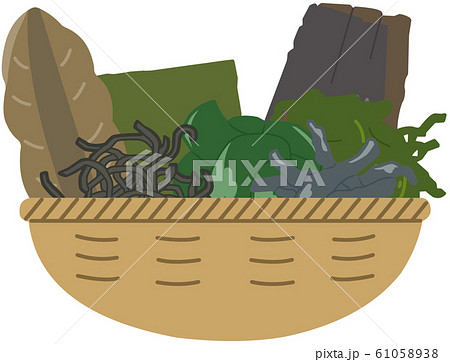 籠 海藻類 主線なしのイラスト素材