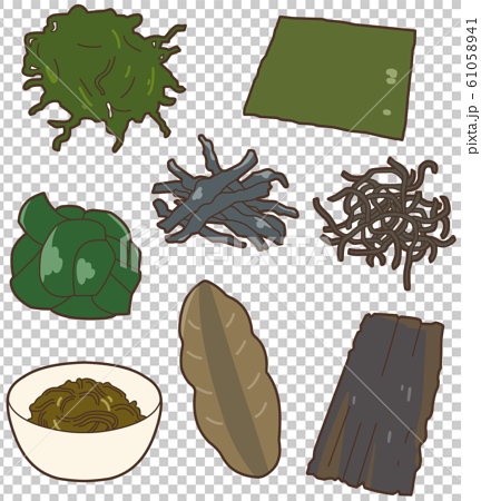 Seaweed Stock Illustration