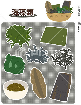 文字あり 海藻類 主線なしのイラスト素材