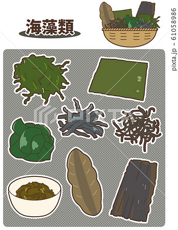 文字あり 海藻類のイラスト素材