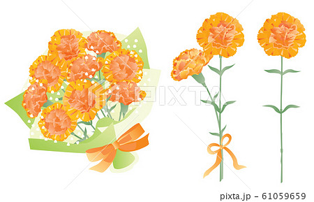 母の日のオレンジ色のカーネーションの花束や一輪と二輪のセットのイラスト素材