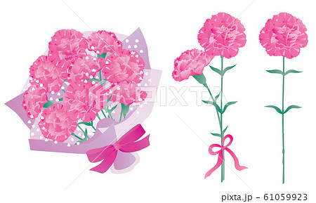 母の日のピンクのカーネーションのギフト 61059923