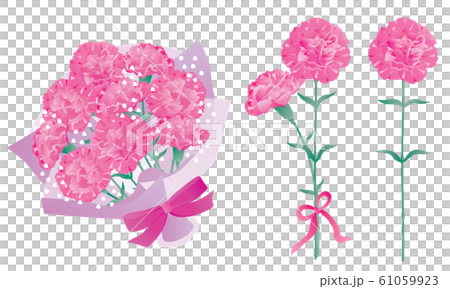 母の日のピンクのカーネーションのギフト 61059923