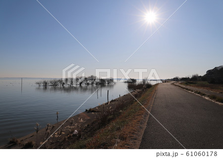 つくば霞ヶ浦りんりんロードの風景 つくば霞ヶ浦りんりんロードの風景 61060178