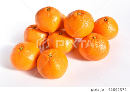 みかん（三ヶ日みかん） 61062372